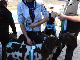 2019_ausstellung polling_745